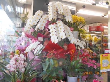 「千里花壇」　（大阪府豊中市）の花屋店舗写真3