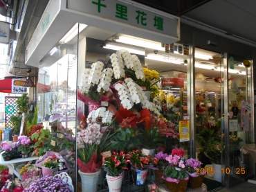 「千里花壇」　（大阪府豊中市）の花屋店舗写真1